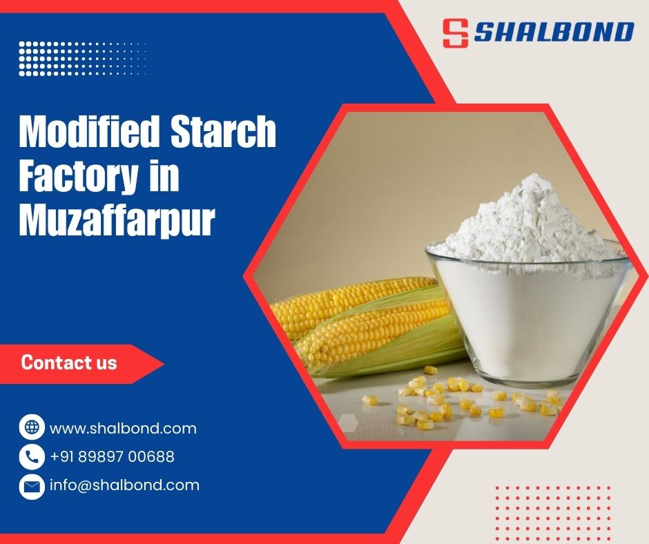 Modified Starch Factory in Muzaffarpur